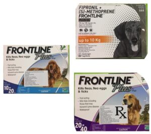 Frontline Plus for Dogs (Fipronil / S-methoprene)